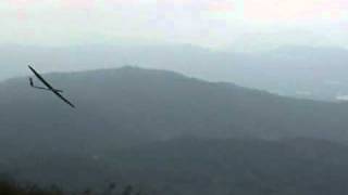 TR2010 Angus 37 76 sec