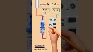 Electrical Connection of MCB & RCCB #shorts #youtubeshorts @electricalandelectronicsworld