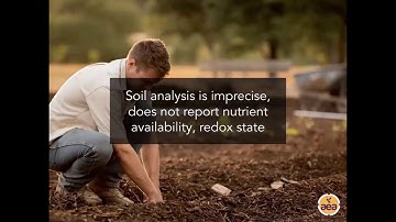 Soil Testing 2.0: Build your Soil, Cut Costs, & Increase Profits with Regenerative Agriculture