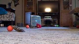 VID00025.AVI