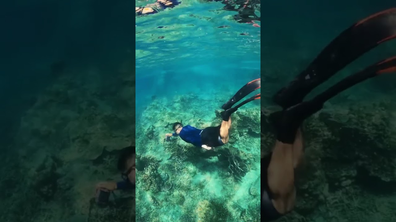 Find connections and opportunities with 