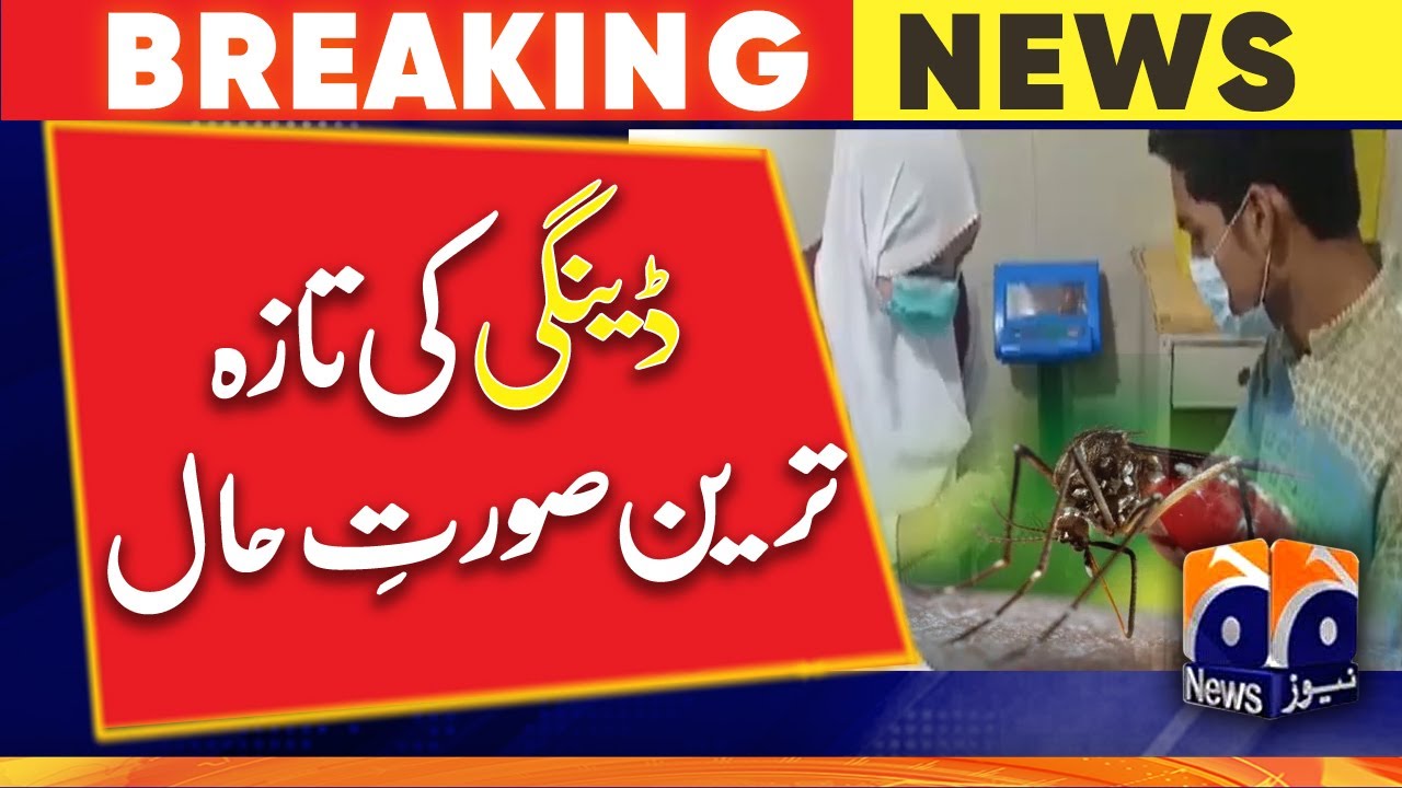 Dengue latest updates | Geo News