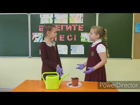 Тюмень, гимназия №16