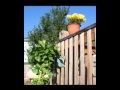 HuggerMount Deck Baluster Flower Pot Holder Video HuggerMount Deck Baluster Flower Pot Holder Video