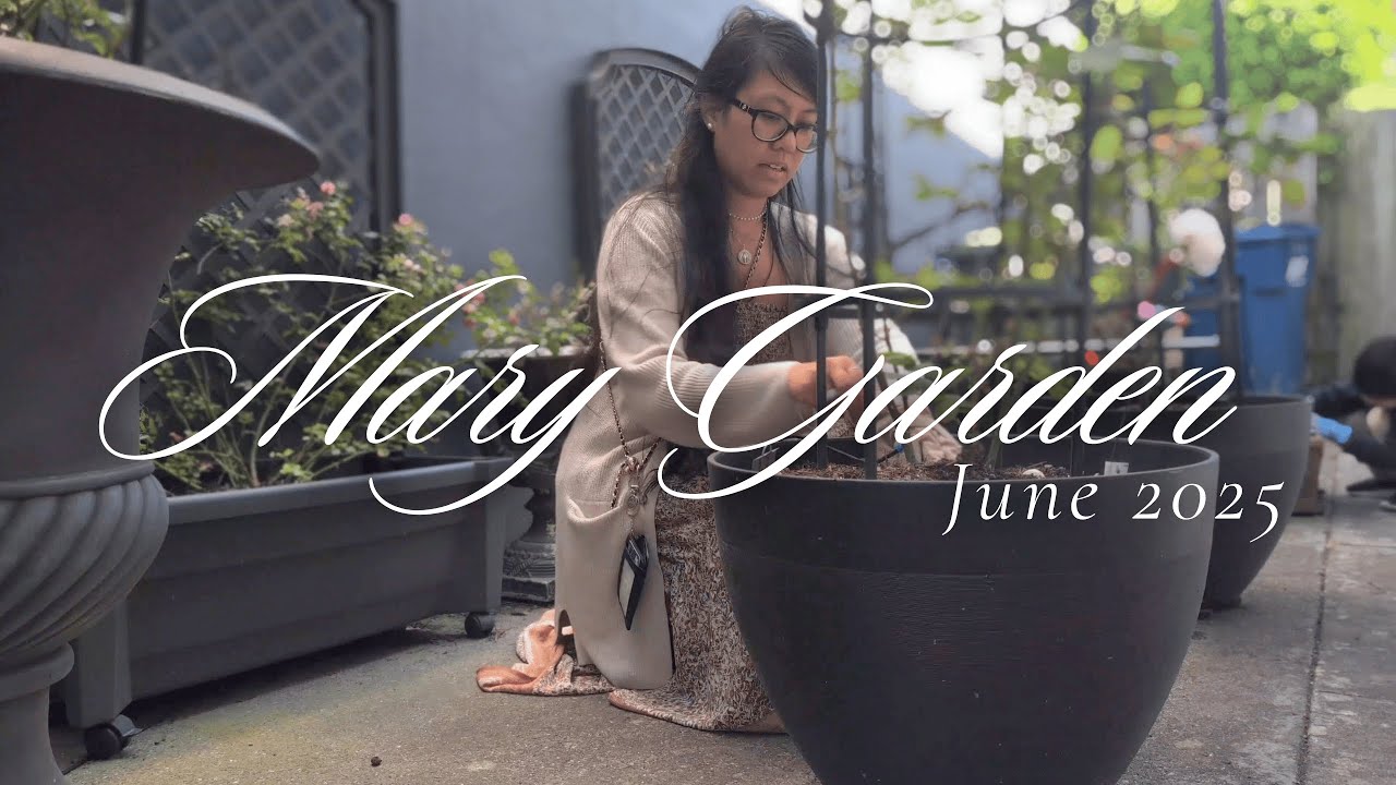 Memories of Summer in my Mary Garden