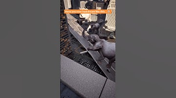 Have you ever had dream like this ...🐘  #ai #artificialintelligence #elephant #aitools #aitips