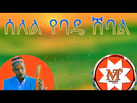 ምርጥ ሙዚቃ ሰይድ ረዲ ሰለል የባዴ ሽባል ምርጥ ስልጥኛ ሙዚቃ Muazmugotyube Seltngs Music Syde Rdye Song
