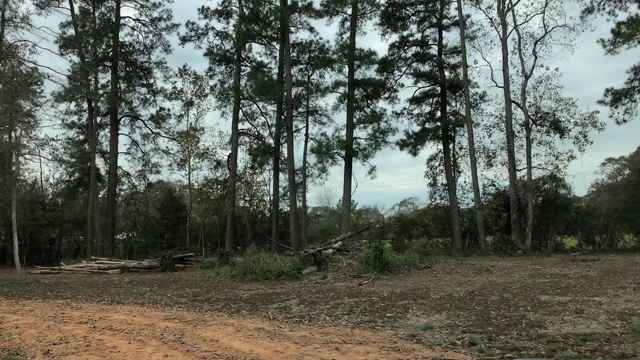 New construction RV Park in Willis, TX, near The Woodlands, Lake Conroe, Houston+