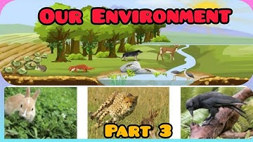 Our Environment - part 3/3rd standard/science/term 3/ unit 1/ Samacheer kalvi