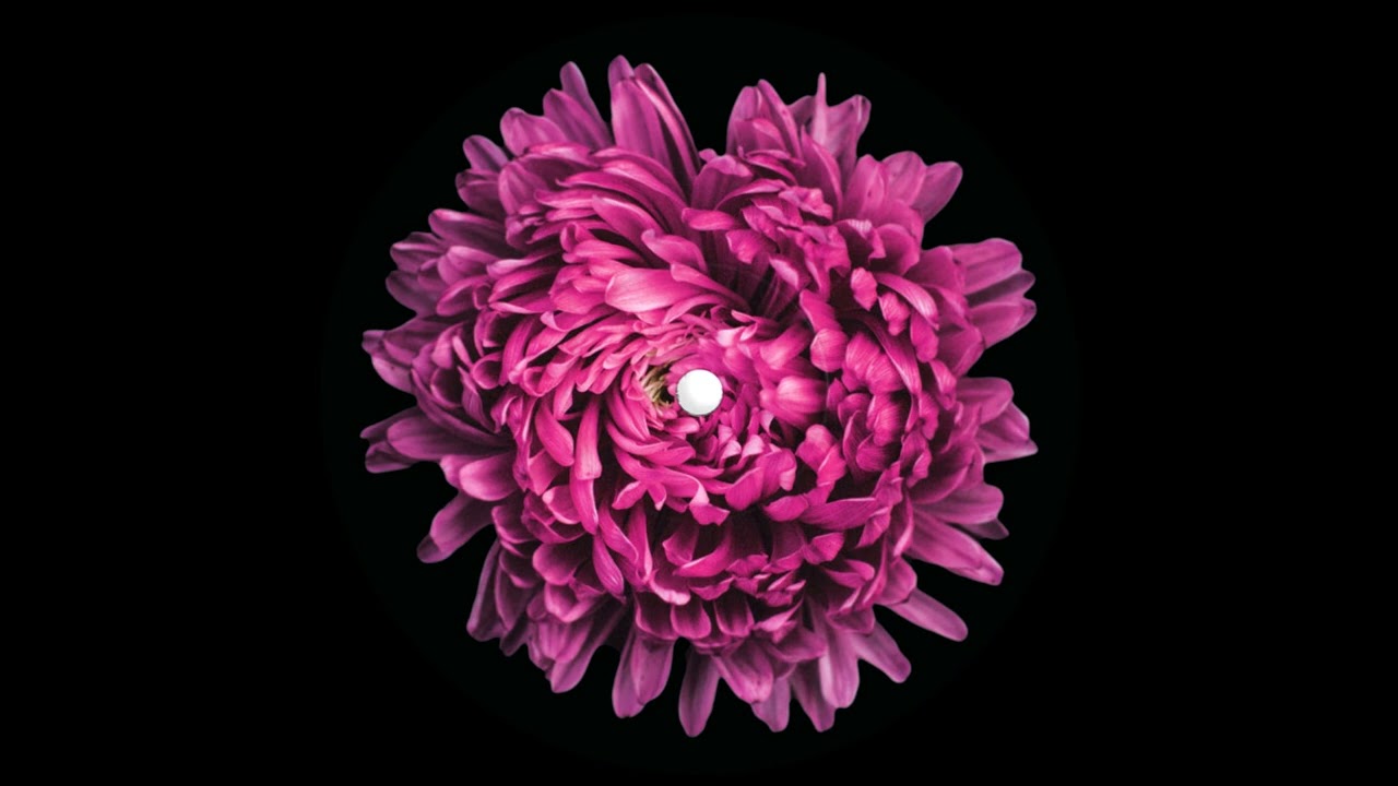 Enko & Velox   Mystery Signals