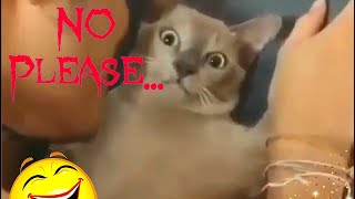 A monster trying to rape his cat really funniest video don't miss it
