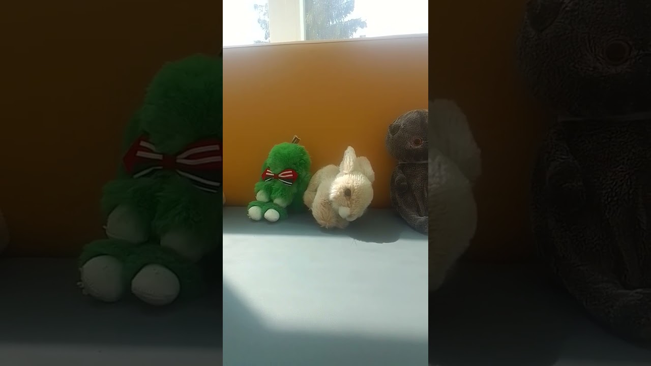 14 июня 2024 г.