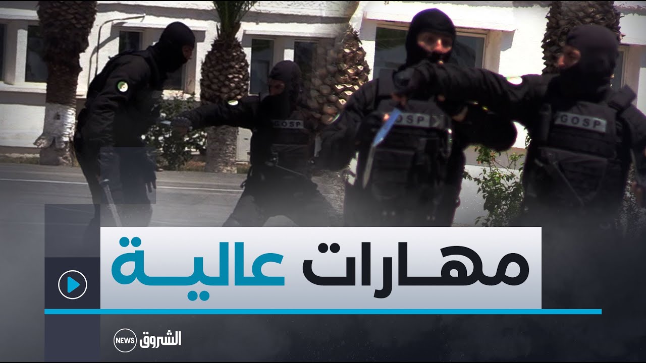 شاهد استعراضات القوات الخاصة لـ #الشرطة الجزائرية..تقنيات الدرجة الثالثة