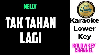 Download Lagu Melly - Tak tahan lagi Karaoke lower key MP3
