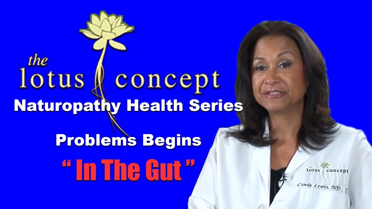 Naturopathy Health Series  " Problems Begin With The Gut"