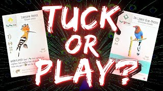 Wingspan Asia birds review & first impression | Tuck or play? Part 3 ft. @WinginitWingspan screenshot 4