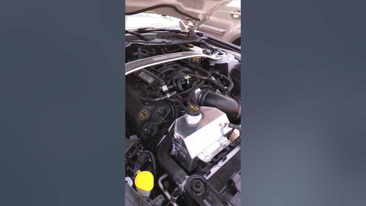 2016 Shelby gt350 Mishimoto Aluminum Coolant expansion tank. YouTube