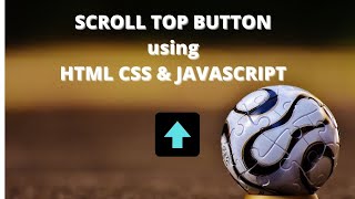 How to Make Scroll Top Button from Scratch using HTML  CSS & Javascript