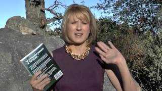 Introducing "The Stolen Twin"