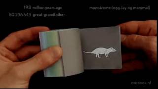 Evolution short story in a few seconds