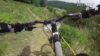 2017朽木TIOGA MTB PARK　赤→黄でポタリング