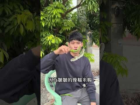 青辣椒到底辣不辣呢?