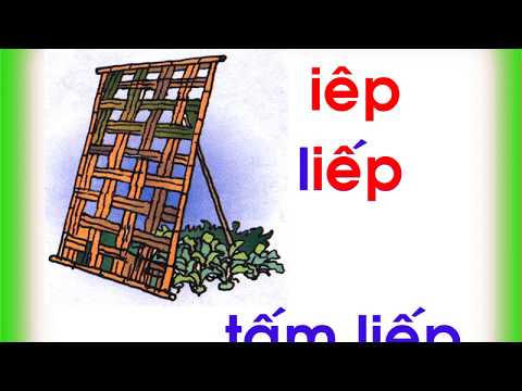 Học vần Lớp 1 Tuần 21 Bài 89: IÊP - ƯƠP