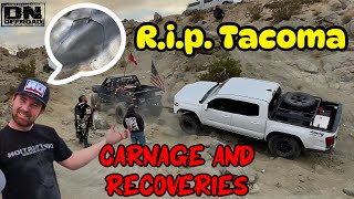 Carnage and Recoveries on Turkey Claw! Johnson Valley Thanksgiving 2024