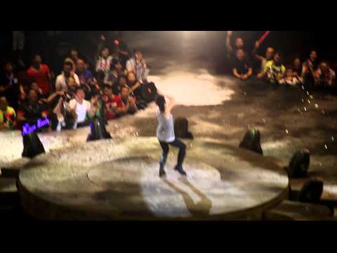Sandy Lam 2011 - 激情