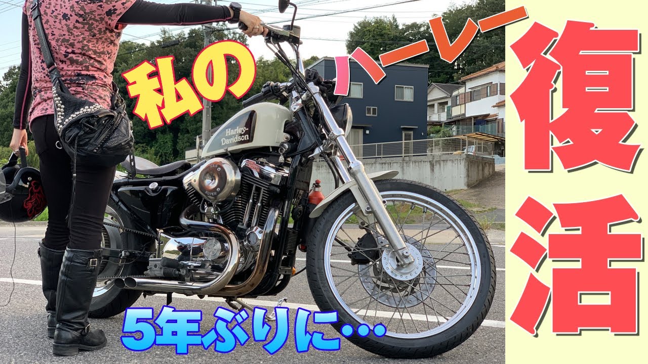 えーりーさん専用⭐︎Harley Davidson ⭐︎ 在庫車両 | Harley-Davidson Certified Saitama