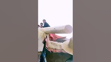 The process of moving timber - a good way can do more with less