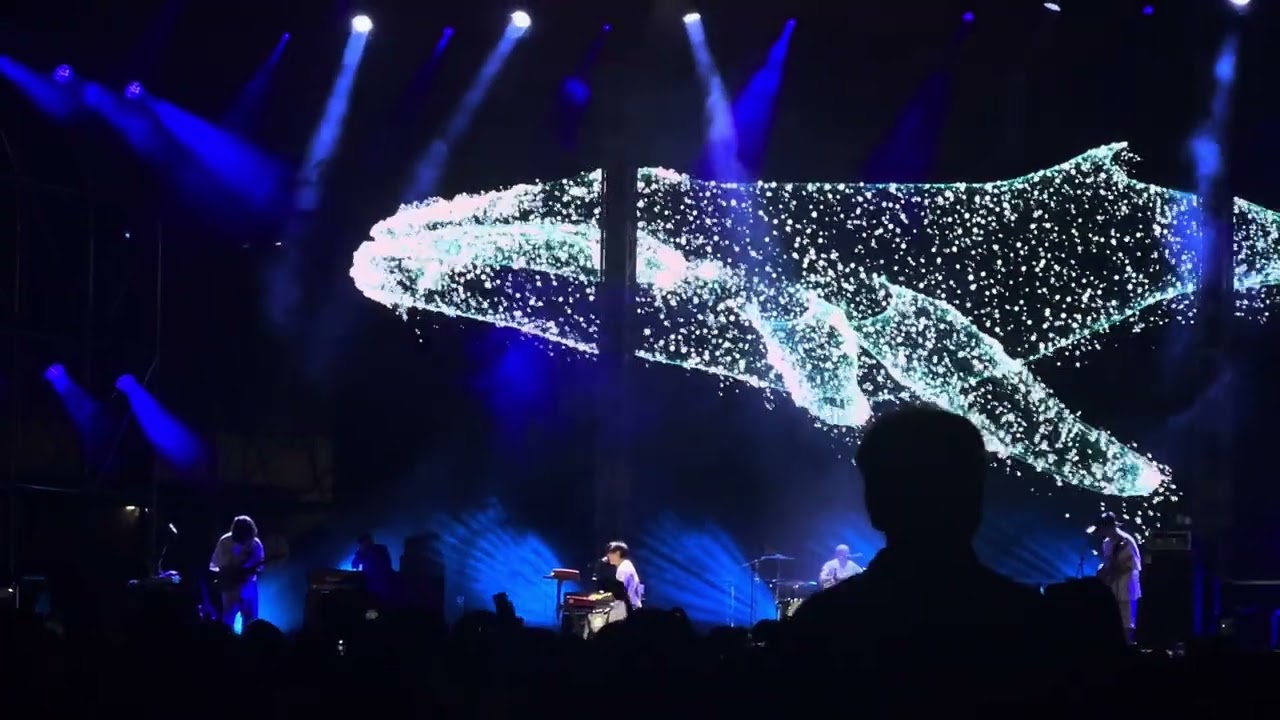 250913 사운드플래닛페스티벌 흰수염고래 - YB #YB #윤도현