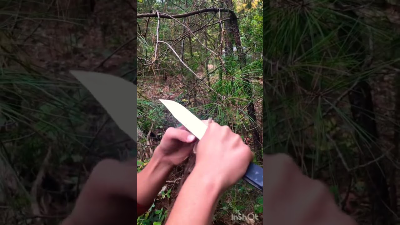 How to make a DIY spear 🤯