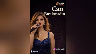 Can Bırakmadın - Ferdi Tayfur - Al Cover - Ağlatan Ezgiler Aç Sesi Dinle