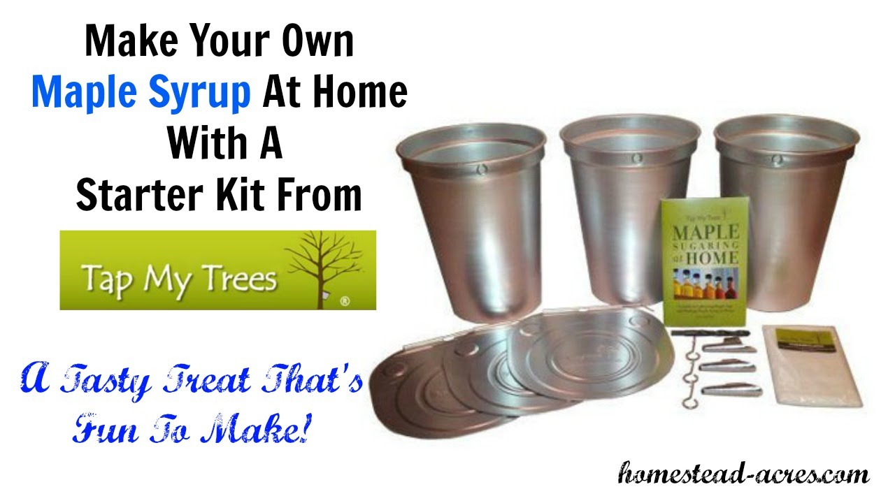 Maple Syrup Starter Kit From Tap My Trees Review YouTube