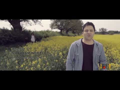 Mehran Atash 