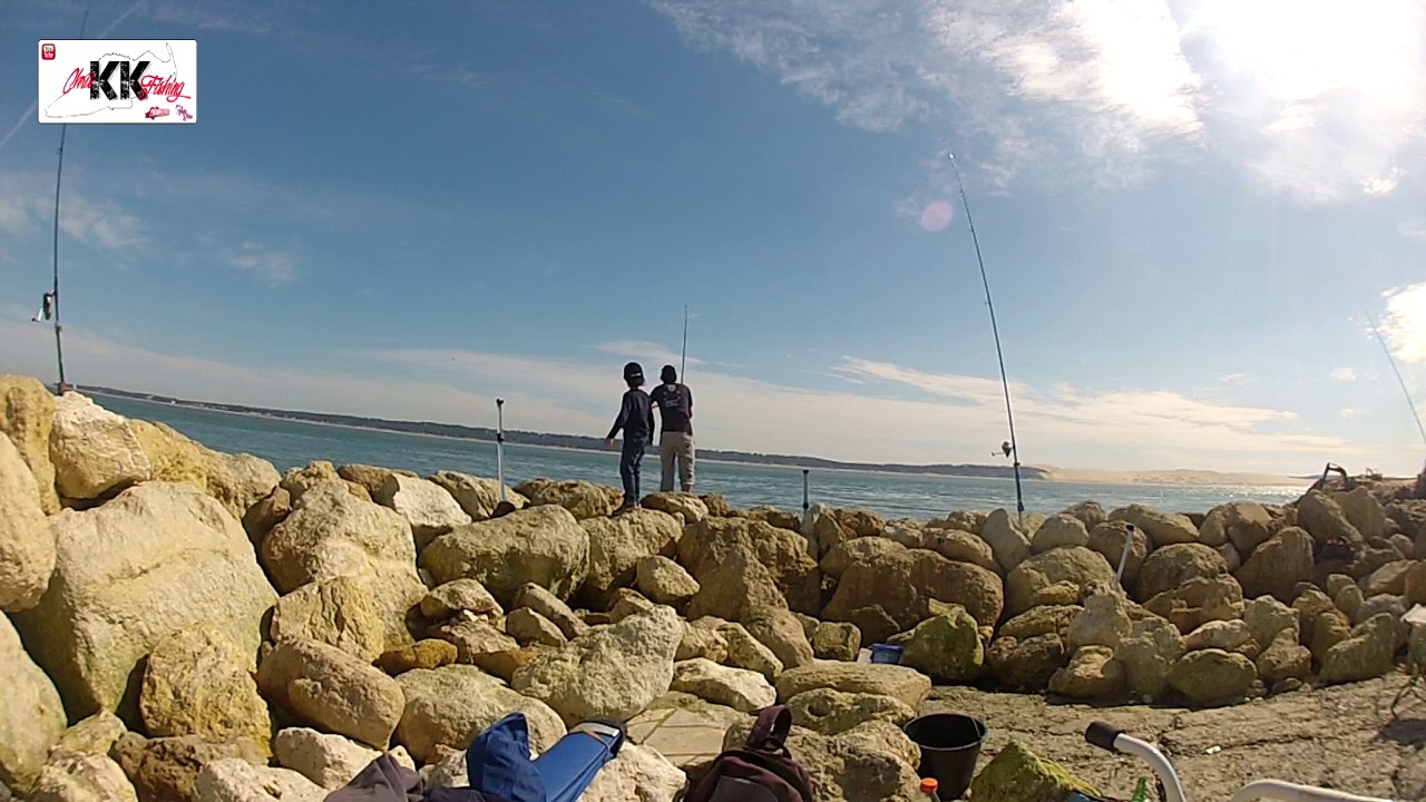 SurfCasting : Pêche de la dorade sur digue