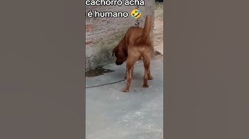 Funniest fail videos - funny fail videos - funny girls fails - Part 79