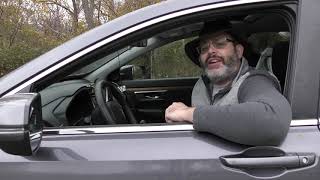 Driving With Docs Drive By Tips No Turkey Skin For Your Pets