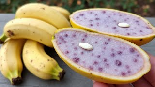 15 Exotic Fruits That Look Too Crazy to Be Real 15 Amazing Fruits That Start With Ae You Need To Try Now 6479684