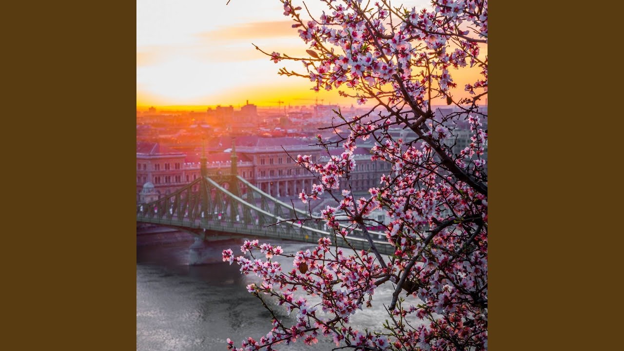 Guarda Us, Bridges su YouTube Guarda Us, Bridges su YouTube