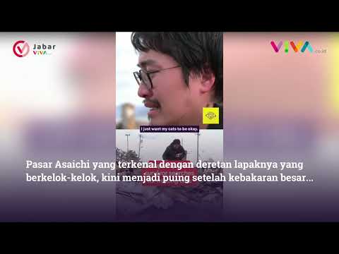 Kisah Haru Pengraji di Jepang, Cari Kucing kucingnya yang Hilang Pasca Gempa