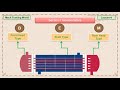 TEMA Section‑1 Nomenclature Explained | Heat Exchanger Front Head Types Lecture-4