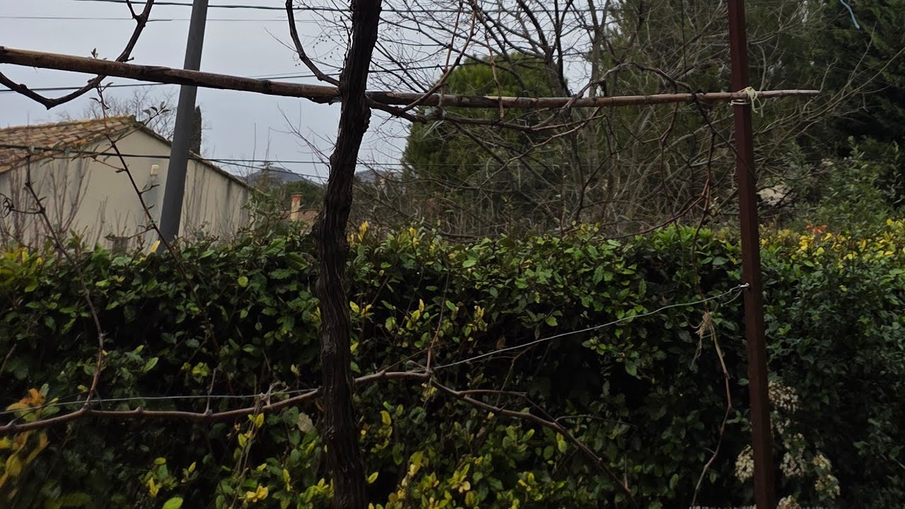 السللم عليكم ورحمة الله تعلى وبركاته ..... جيت ندير معكم طليلة .... ولكم وحشة لفان ديالي لعزاز ....