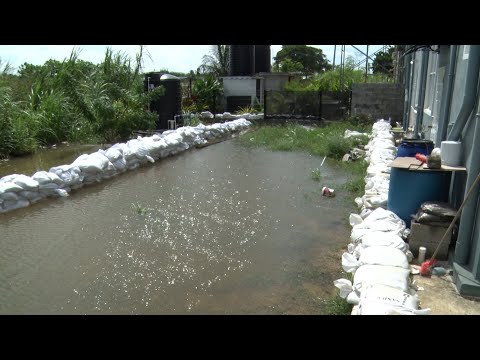 Resident Seeks Help In Addressing Flood Woes At Real Spring Housing Development