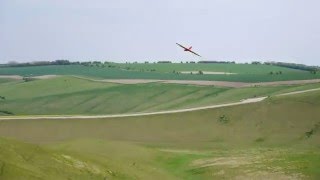 SAS Wildthing 60" Slope Glider