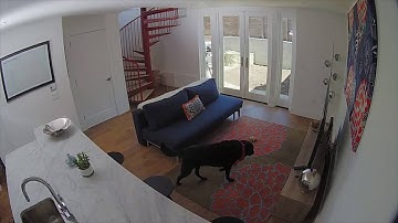 How Activity Zones Work with the iCamera KEEP Pro