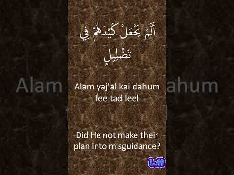 alam tara kaifa surah transliteration in english alam tara kaifa surah transliteration in english
