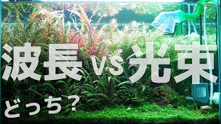 水草水槽全盛期到来2021。波長と光束どっちが良いのか？初めて使ったアマゾニア初代とパワーサンドの組み合わせについて感想を語ってみた【ふぶきテトラ】