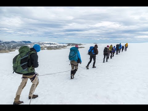 Go Glacier Hiking at Folgefonna